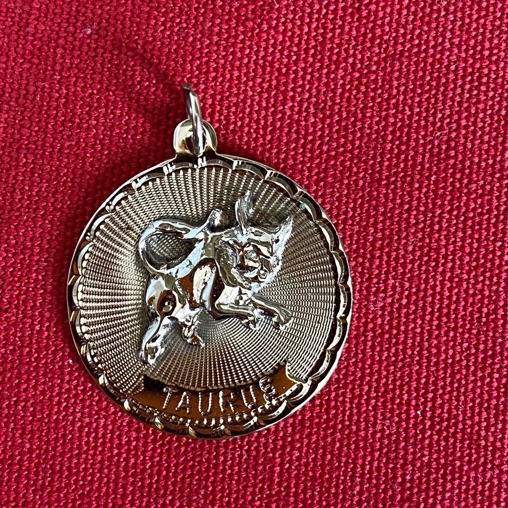 Jeanor I Sterling I Taurus I Bull I Zodiac Charm